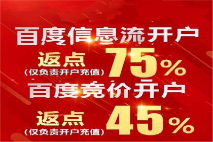 百度推广费用优化策略：成功案例分享